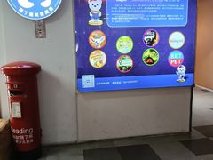 -瑞丁熊原版阅读(大华校区)