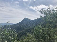 -阳台山自然风景区