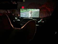 -枫花园汽车电影院(朝阳公园店)