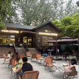 藏在小树林里的 室外精酿+烧鸟✨