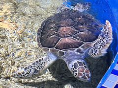 -顺德南宏海立方海洋公园