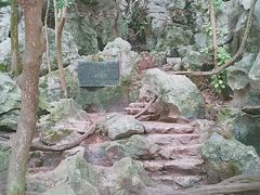 -杭州西湖风景名胜区-三生石