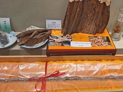 -广东中医药博物馆