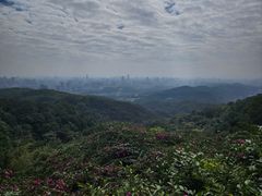 -广州市白云山风景名胜区