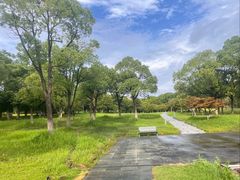 -白塘生态植物园