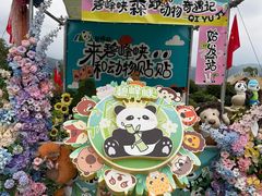 -中国大熊猫保护研究中心雅安碧峰峡基地