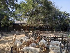 -南昌动物园
