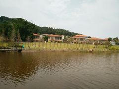-厦门国家会计学院