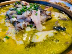 -印象鲵宴·张家界地标美食名片(溪布街店)