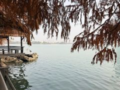 -蠡湖大桥公园
