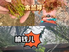 -十三陵水库