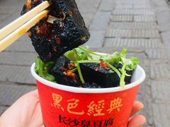 -黑色经典臭豆腐·湖南特产(潇湘文化店)