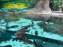 景点-上海海洋水族馆