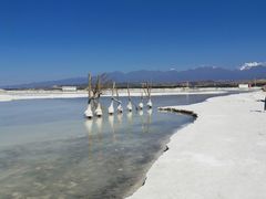 -盐湖景区