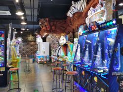 -卡通尼·Safari非洲探索乐园·生日会(金桥国际商业广场店)