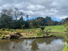 -墨尔本皇家植物园