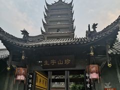 -生宇山珍野生菌汤锅•始于1999(双流古塔店)