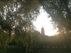-舍利塔滩地公园-无垢净光舍利塔