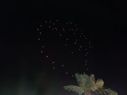 -熙朵美学植发连锁