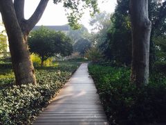 -上海市保健医疗中心(华东疗养院)