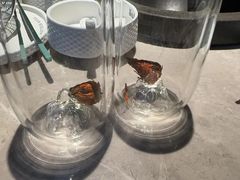 -芸山季·云南山珍菌火锅(宝能环球汇店)