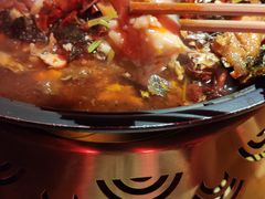 -馋火炉鱼(新世界百货望京店)