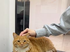 -派特宠物医院(圆融广场店)