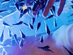 -汤连得温泉馆(宝山店)