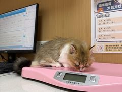 -瑞派康怡24h宠物医院·犬猫医疗中心·微创绝育(瑞景分院)