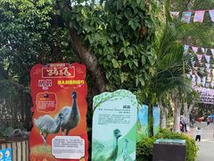 -广州长隆飞鸟乐园