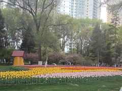-西宁市人民公园(城西区)