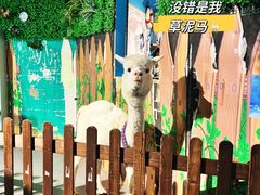 -常州海昌海洋探索馆