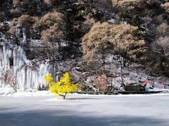 -少华山国家森林公园