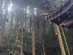 -刘伯温故里景区百丈漈