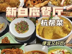 -新白鹿餐厅(城西银泰城店)