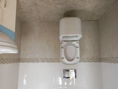 -金山农民画村-枫泾波兰倒置屋