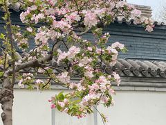 -海棠花溪(元大都城垣遗址公园)