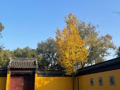 -西园寺素食(西园弄戒幢律寺店)