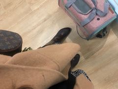 -老吴的猫·猫舍(新区店)