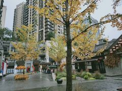 -秦云老太婆摊摊面(长嘉汇两江峯店)