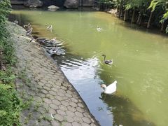 -广州市帽峰山景区