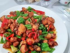 -煲来饱去冷水鱼