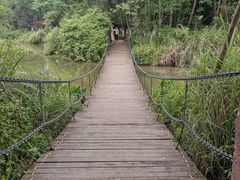 -桤木河湿地公园