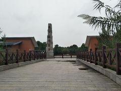 -中国扬子鳄村