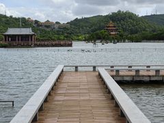 -顺峰山公园