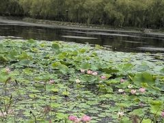 -绥化市森林植物园