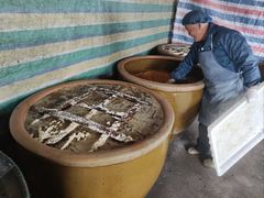 -苏州市吴中区光福窑上花果蜜饯厂