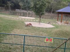 -柳州市动物园