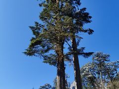 -燕子沟风景区