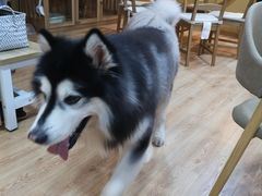 -白兔子密室(长寿路店)